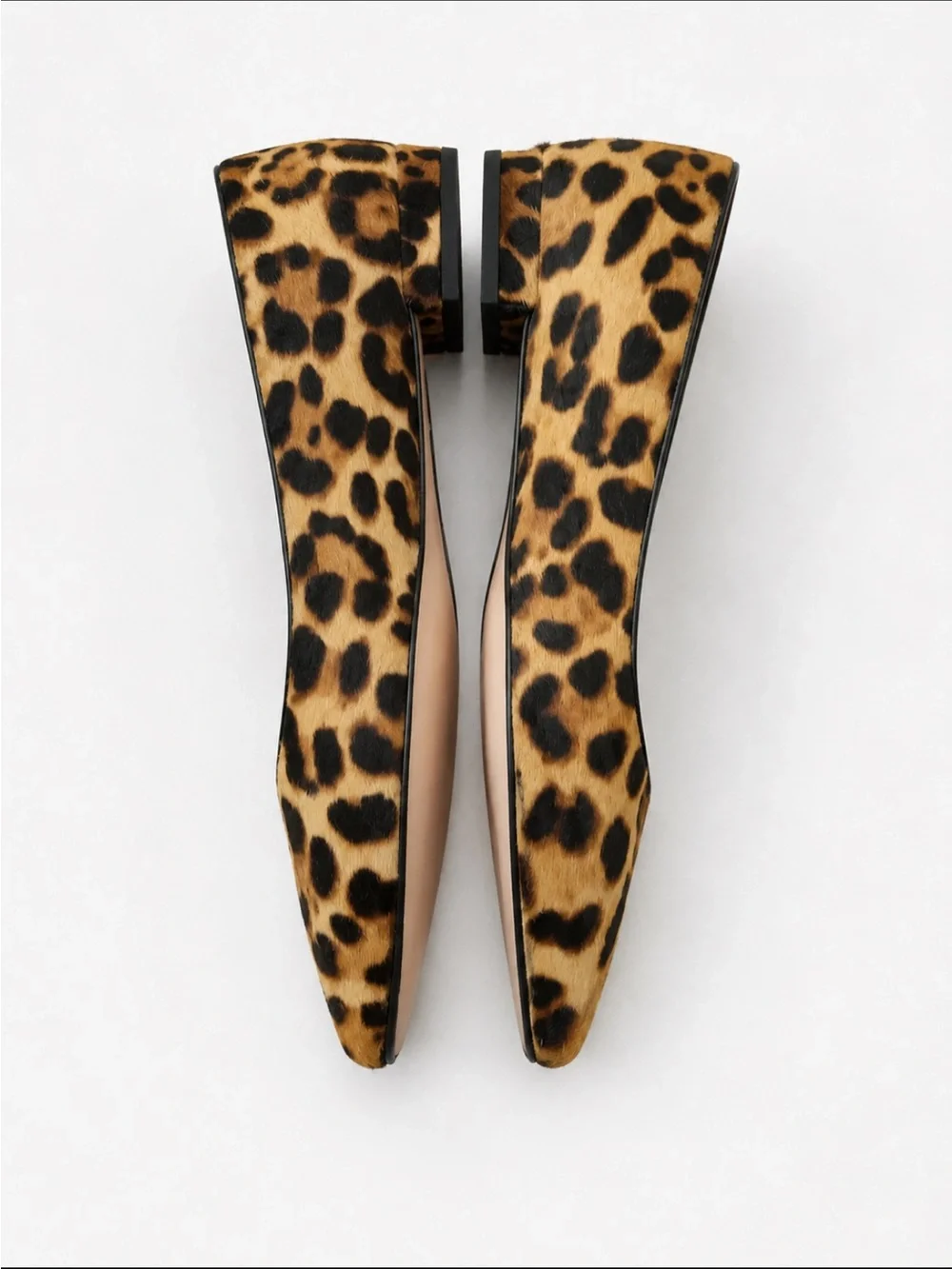 J. Crew chic leopard